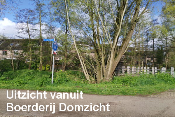 Uitzicht Domzicht | Situatie nu