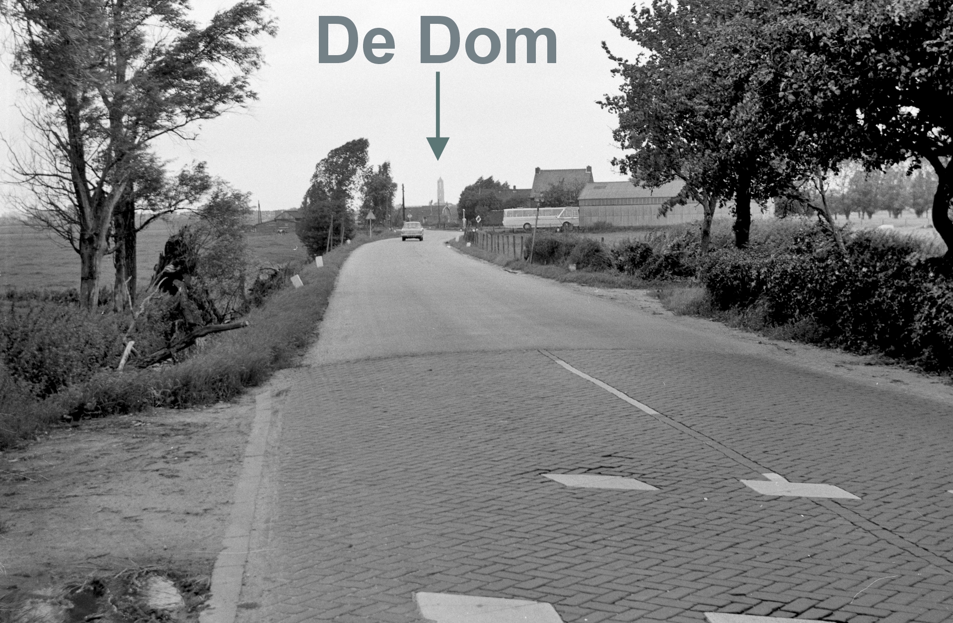Uitzicht vanuit Boerderij Domzicht